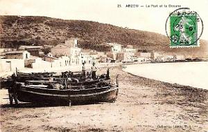 Arzew 251